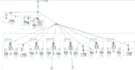 perform cisco packet tracer labs on cisco packet tracer