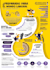 create visually stunning infographics and data visualization