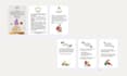 design professional ebooks for publishing or digital sales