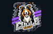 do bearded collie dog mascot logo with creative thinking