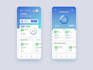 develop flutter mobile application