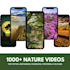 nature reels bundle, nature faceless video reels,
