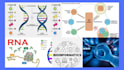 do data analysis, visualization, parameter and writing impact on bioinformatic