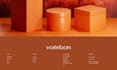 design or redesign a professional wix website for your business