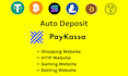integrate auto deposit using paykassa wallet into your website