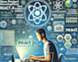 professional react js bug fixing and new project development