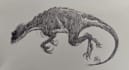 do pencil and pen drawing sketch