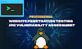 do website penetration testing and vulnerability assessment