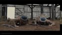 3d vfx animation, cgi compositing, 3d cgi animation,  visual effects