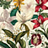 design the best botanical illustration for you