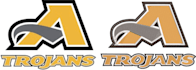 do embroidery digitizing convert to dst, jef, pes, exp in 1 hour