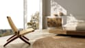 design and render photorealistic interior and exterior