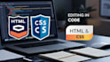 edit in HTML and CSS javascript code in websites