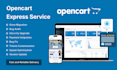 design, customize, fix or upgrade your opencart store