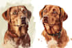 draw illustration pet portrait vector art