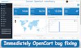 create and develop your opencart website