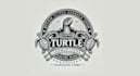 design amazing turtle logo