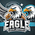 do wonderful eagle mascot logo design with unlimited express