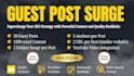 provide high quality guest posts with high da DR backlinks
