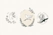 design boho chic hand drawn botanical logo