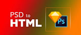 your front end developer, will do front end development