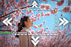 seamlessly expand images and photos