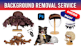 remove the background or objects using a clipping path, making it transparent