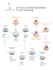 create professional and creative fllow process infographic design