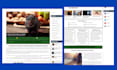 do a stunning wordpress static and ecommerce website