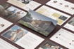design investor pitch decks and startup presentations