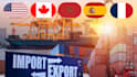 help you with import export international trade customs duties and ecommerce