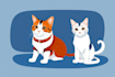 draw a cute disney style pet portrait