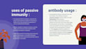 script writing , proof reading , research , projects