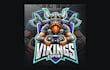 make different vikings esports mascot logo for your company