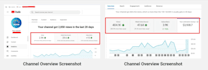 be your youtube video SEO expert