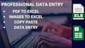 do professional data entry, pdf to excel, image to excel