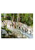 be your tour guide when visiting jamaica