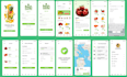 design and develop android app