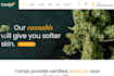 design cannabis website, cbd website, hemp website, weed, and marijuana website