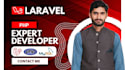 expert bug fix, develop and customize php,laravel, mysql wordpress bugs fixing