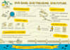 draw digital sketch note for your lectures and others