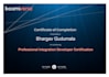 be your expert boomi developer for integration and automation