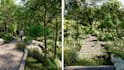 do professional 3d landscape rendering