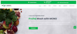 build responsive wordpress website development