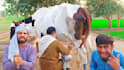 make happy mothers day video or happy birthday video