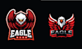 create high quality bird eagle logo