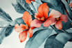create a digital botanical illustration of flower