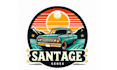 design professional car logo