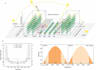 provide expert maize soybean intercropping analysis