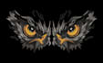 do embroidery digitizing your logo or graphics and convert to dst, jef, pes, exp